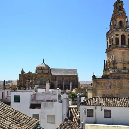 アパート Sunshine Patio De La Hoguera コルドバ