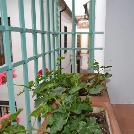 Sunshine Patio De La Hoguera アパート コルドバ