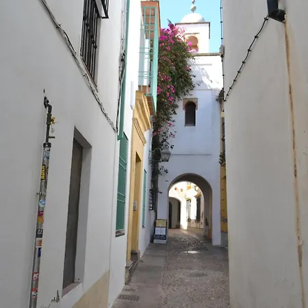Sunshine Patio De La Hoguera Cordova