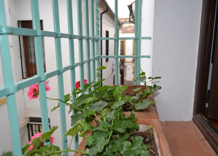 Sunshine Patio De La Hoguera דירה קורדובה